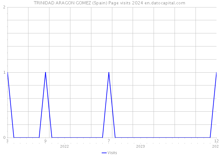 TRINIDAD ARAGON GOMEZ (Spain) Page visits 2024 