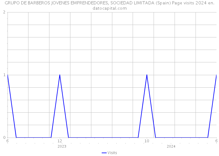 GRUPO DE BARBEROS JOVENES EMPRENDEDORES, SOCIEDAD LIMITADA (Spain) Page visits 2024 