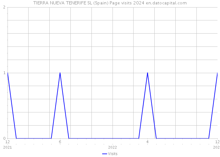 TIERRA NUEVA TENERIFE SL (Spain) Page visits 2024 
