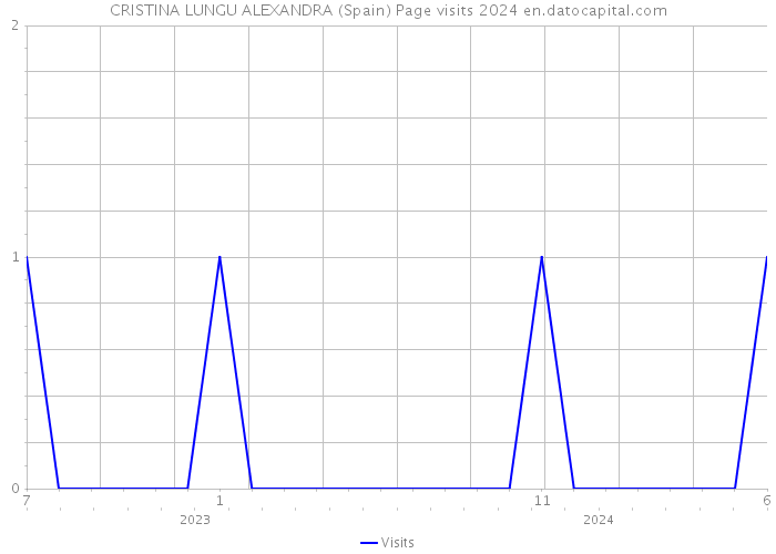 CRISTINA LUNGU ALEXANDRA (Spain) Page visits 2024 