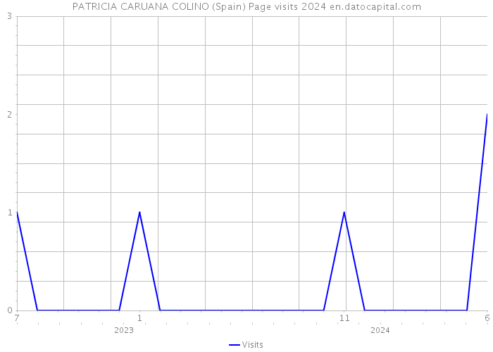PATRICIA CARUANA COLINO (Spain) Page visits 2024 