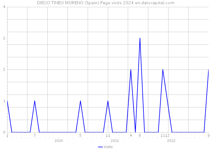 DIEGO TINEO MORENO (Spain) Page visits 2024 