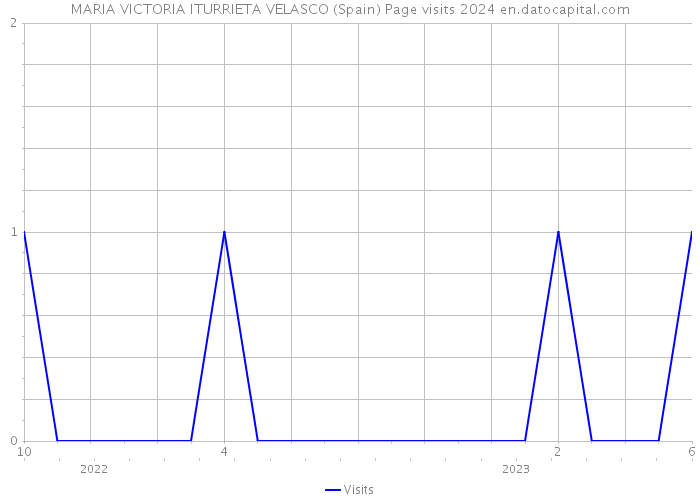 MARIA VICTORIA ITURRIETA VELASCO (Spain) Page visits 2024 