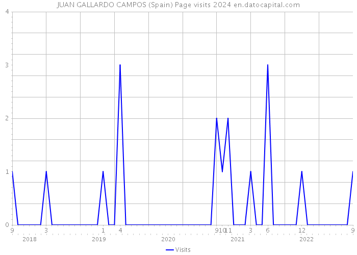 JUAN GALLARDO CAMPOS (Spain) Page visits 2024 