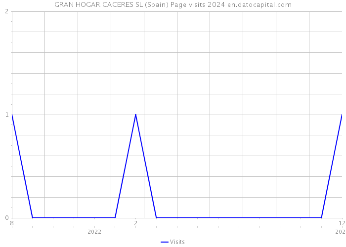 GRAN HOGAR CACERES SL (Spain) Page visits 2024 
