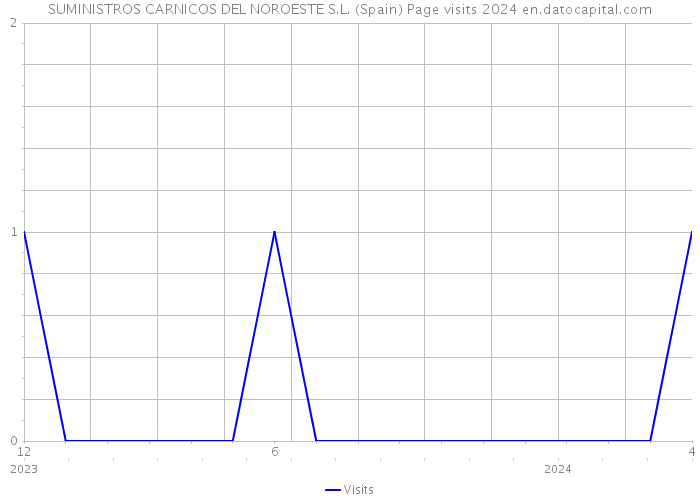 SUMINISTROS CARNICOS DEL NOROESTE S.L. (Spain) Page visits 2024 