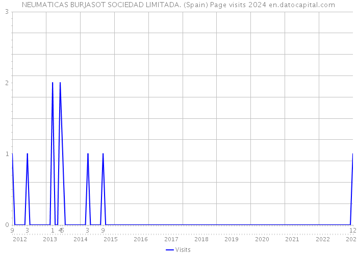 NEUMATICAS BURJASOT SOCIEDAD LIMITADA. (Spain) Page visits 2024 