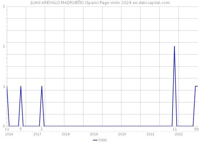 JUAN AREVALO MADRUEÑO (Spain) Page visits 2024 