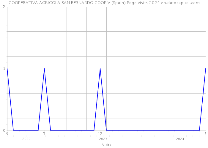 COOPERATIVA AGRICOLA SAN BERNARDO COOP V (Spain) Page visits 2024 