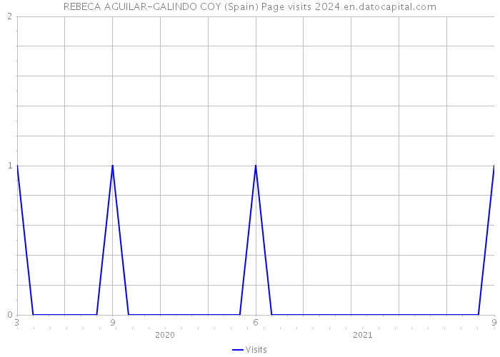 REBECA AGUILAR-GALINDO COY (Spain) Page visits 2024 