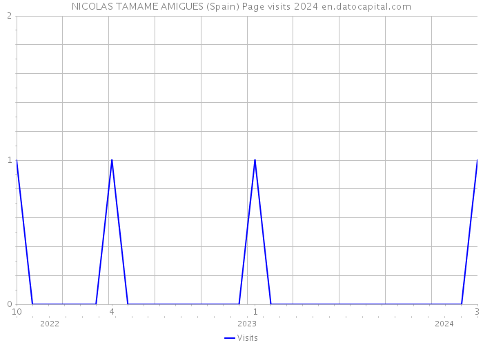 NICOLAS TAMAME AMIGUES (Spain) Page visits 2024 