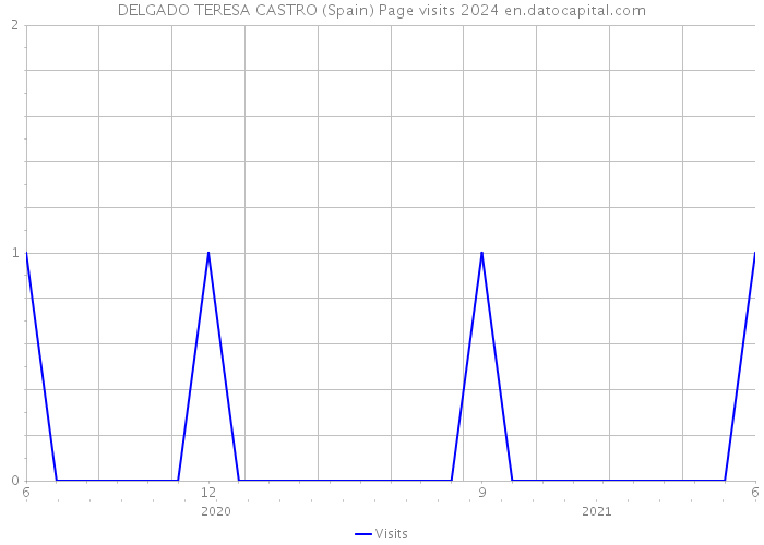 DELGADO TERESA CASTRO (Spain) Page visits 2024 