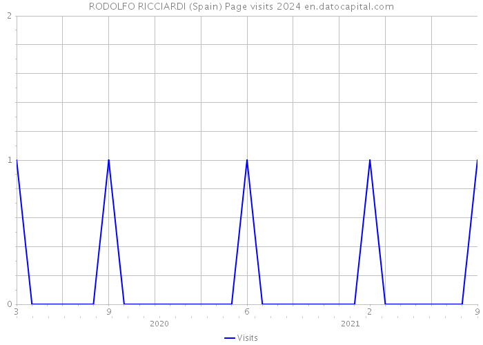 RODOLFO RICCIARDI (Spain) Page visits 2024 