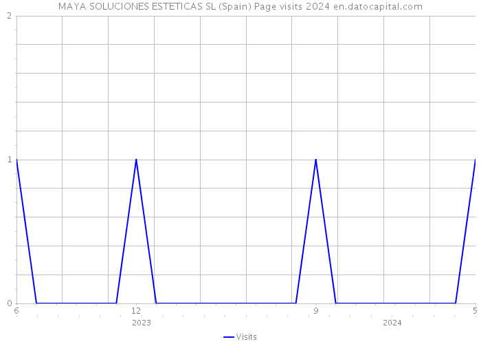 MAYA SOLUCIONES ESTETICAS SL (Spain) Page visits 2024 