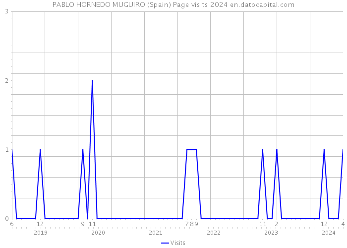 PABLO HORNEDO MUGUIRO (Spain) Page visits 2024 