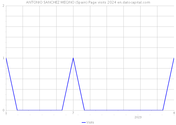 ANTONIO SANCHEZ MEGINO (Spain) Page visits 2024 