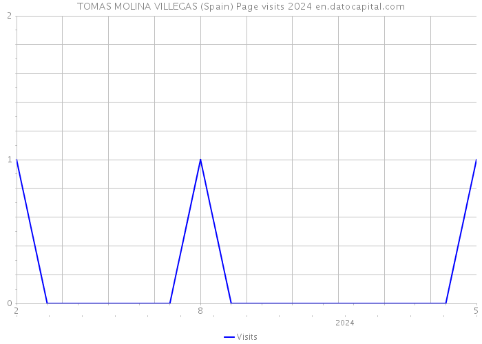 TOMAS MOLINA VILLEGAS (Spain) Page visits 2024 