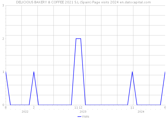 DELICIOUS BAKERY & COFFEE 2021 S.L (Spain) Page visits 2024 