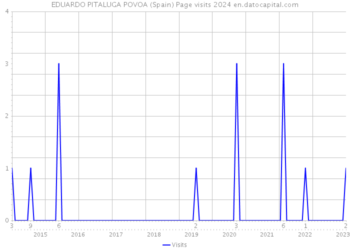 EDUARDO PITALUGA POVOA (Spain) Page visits 2024 