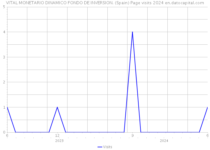 VITAL MONETARIO DINAMICO FONDO DE INVERSION. (Spain) Page visits 2024 