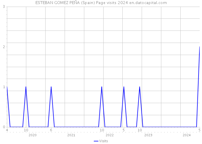 ESTEBAN GOMEZ PEÑA (Spain) Page visits 2024 