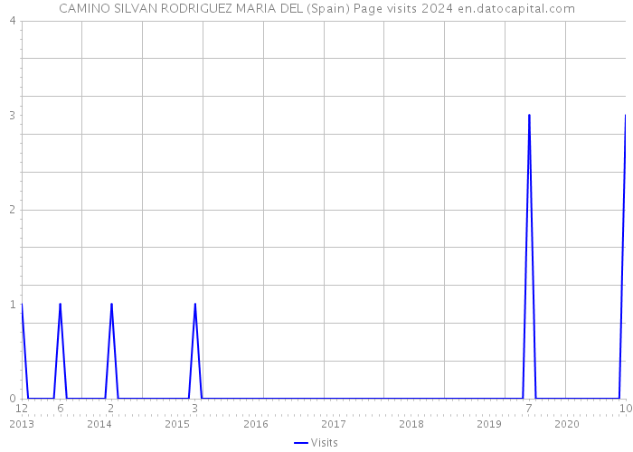 CAMINO SILVAN RODRIGUEZ MARIA DEL (Spain) Page visits 2024 