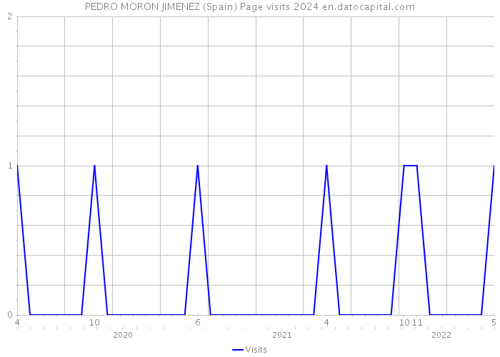 PEDRO MORON JIMENEZ (Spain) Page visits 2024 