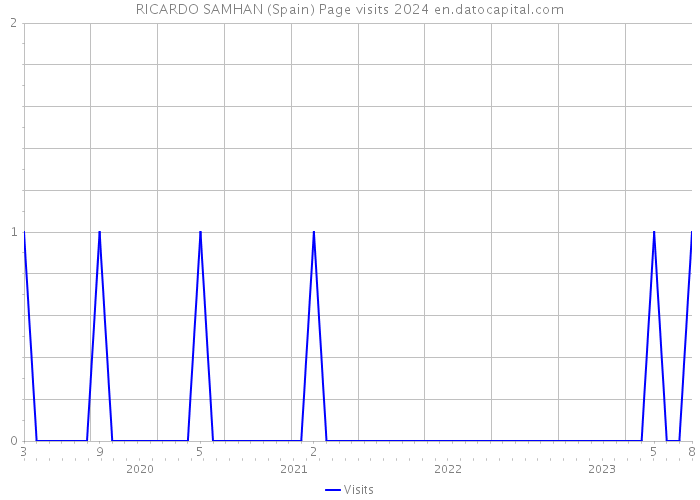 RICARDO SAMHAN (Spain) Page visits 2024 