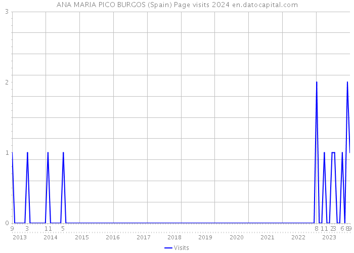 ANA MARIA PICO BURGOS (Spain) Page visits 2024 