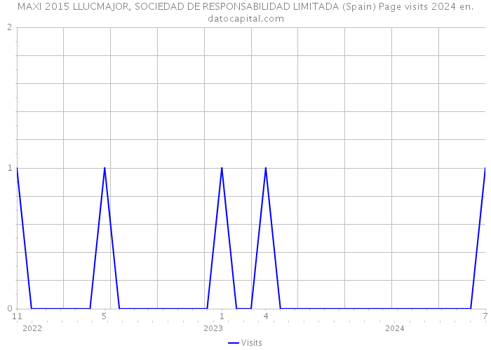MAXI 2015 LLUCMAJOR, SOCIEDAD DE RESPONSABILIDAD LIMITADA (Spain) Page visits 2024 