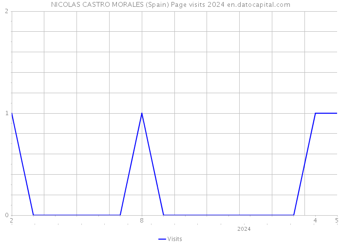 NICOLAS CASTRO MORALES (Spain) Page visits 2024 