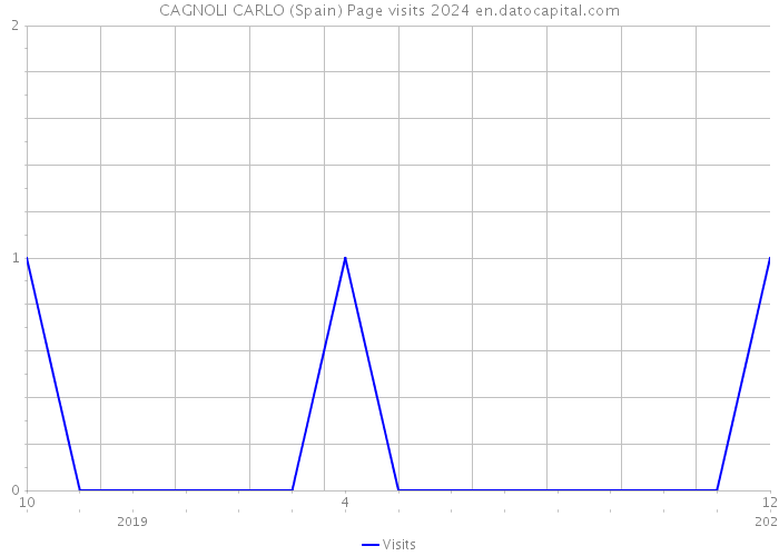 CAGNOLI CARLO (Spain) Page visits 2024 
