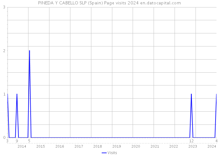 PINEDA Y CABELLO SLP (Spain) Page visits 2024 