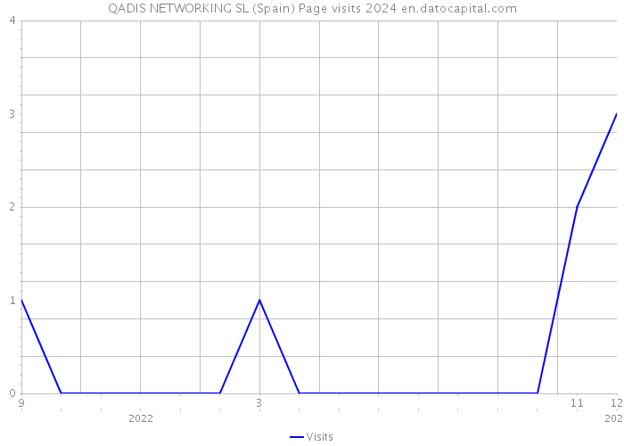 QADIS NETWORKING SL (Spain) Page visits 2024 