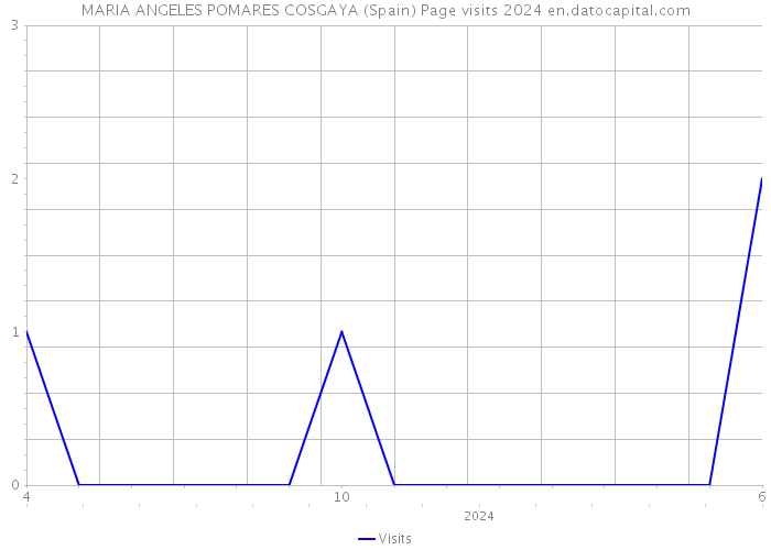 MARIA ANGELES POMARES COSGAYA (Spain) Page visits 2024 