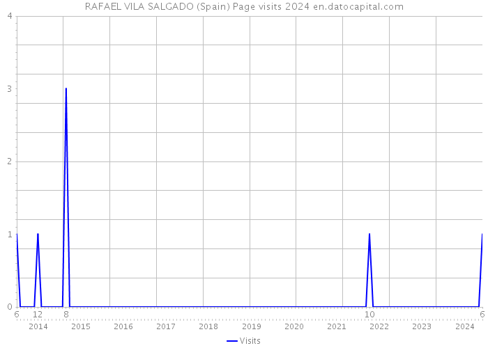 RAFAEL VILA SALGADO (Spain) Page visits 2024 