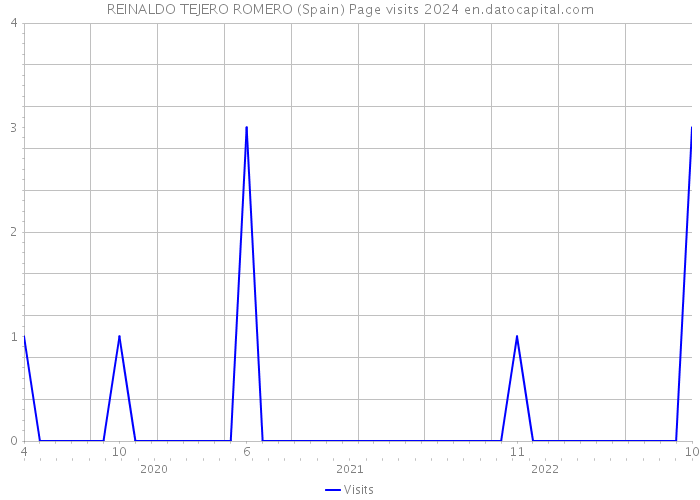 REINALDO TEJERO ROMERO (Spain) Page visits 2024 