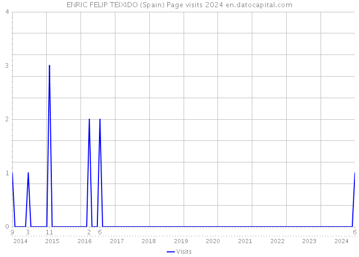 ENRIC FELIP TEIXIDO (Spain) Page visits 2024 