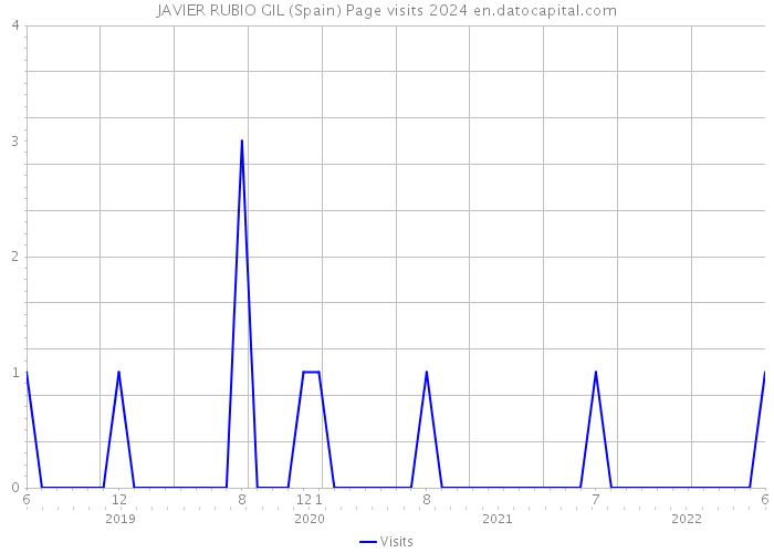 JAVIER RUBIO GIL (Spain) Page visits 2024 