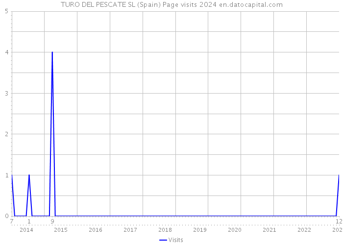 TURO DEL PESCATE SL (Spain) Page visits 2024 