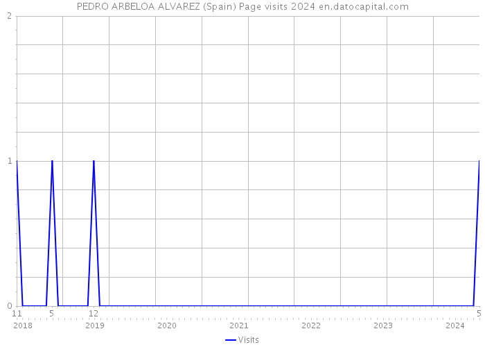 PEDRO ARBELOA ALVAREZ (Spain) Page visits 2024 