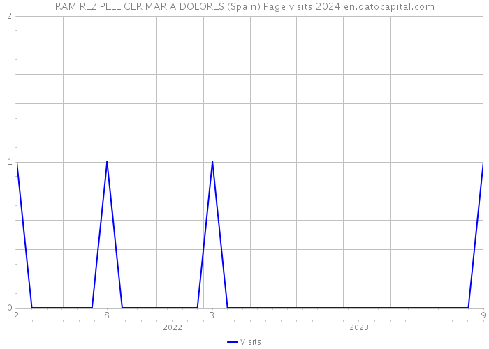 RAMIREZ PELLICER MARIA DOLORES (Spain) Page visits 2024 