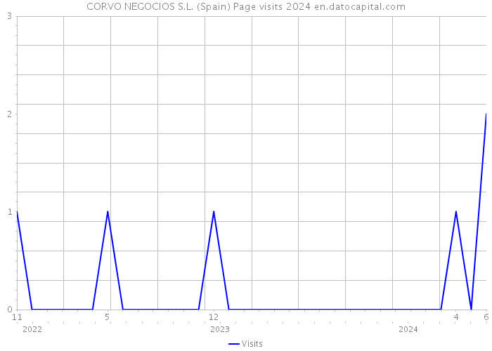 CORVO NEGOCIOS S.L. (Spain) Page visits 2024 