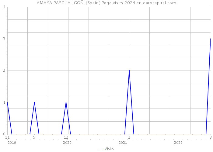 AMAYA PASCUAL GOÑI (Spain) Page visits 2024 