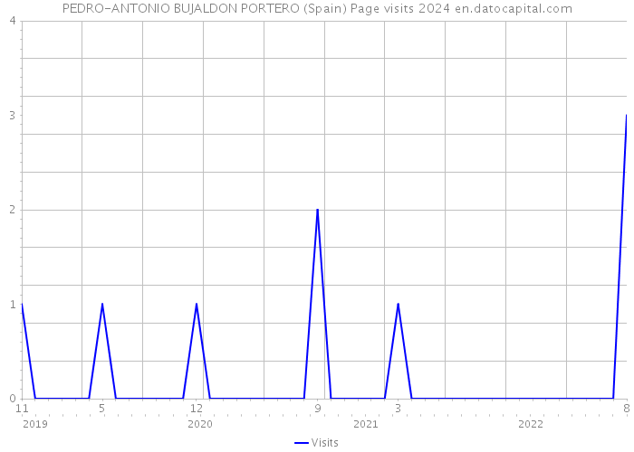 PEDRO-ANTONIO BUJALDON PORTERO (Spain) Page visits 2024 
