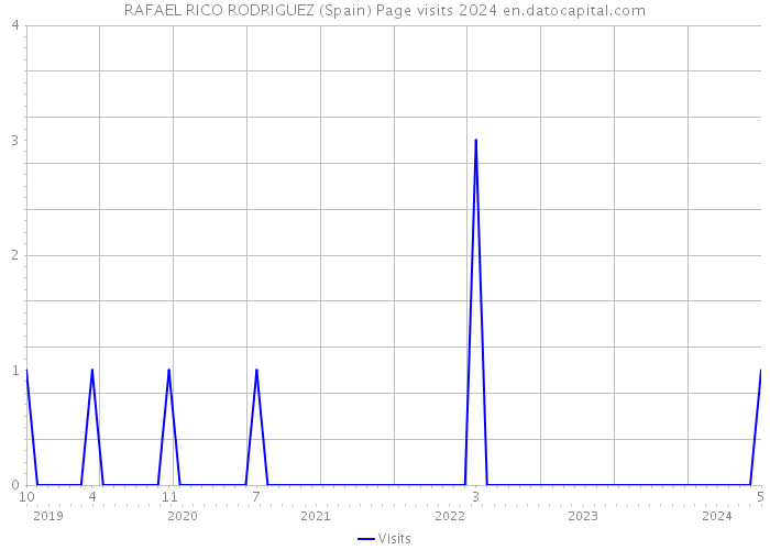 RAFAEL RICO RODRIGUEZ (Spain) Page visits 2024 