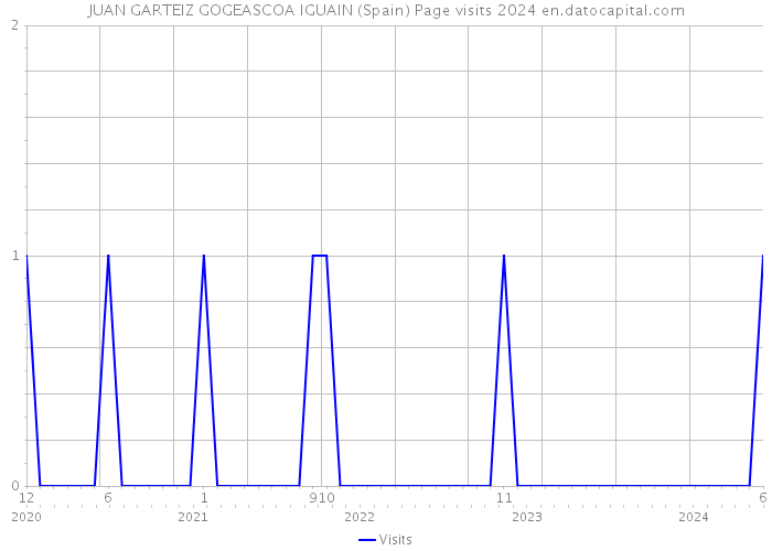 JUAN GARTEIZ GOGEASCOA IGUAIN (Spain) Page visits 2024 