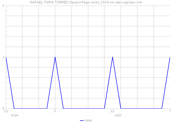 RAFAEL TAPIA TORRES (Spain) Page visits 2024 