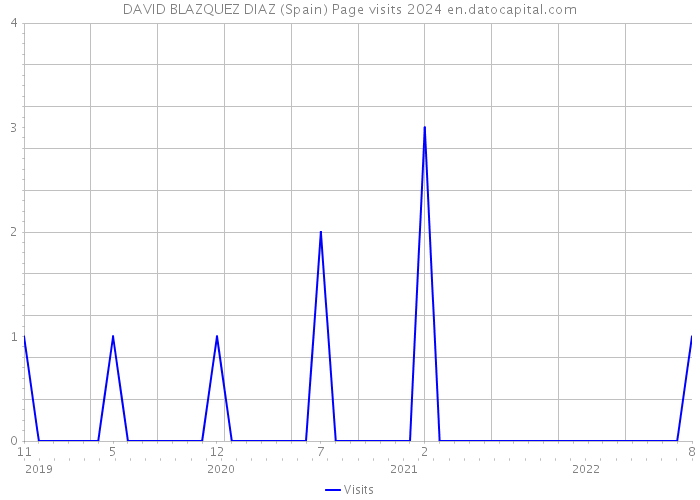 DAVID BLAZQUEZ DIAZ (Spain) Page visits 2024 