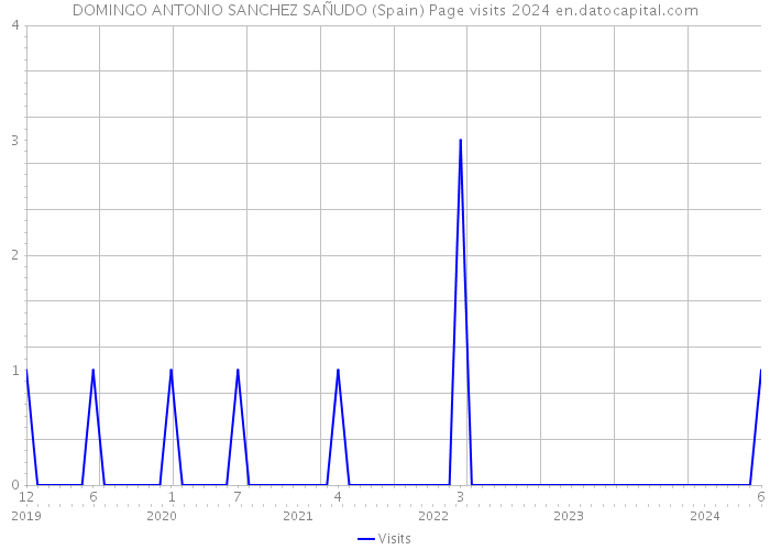 DOMINGO ANTONIO SANCHEZ SAÑUDO (Spain) Page visits 2024 